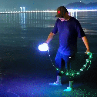 Bluetooth Christmas LED Lights with Music Sync